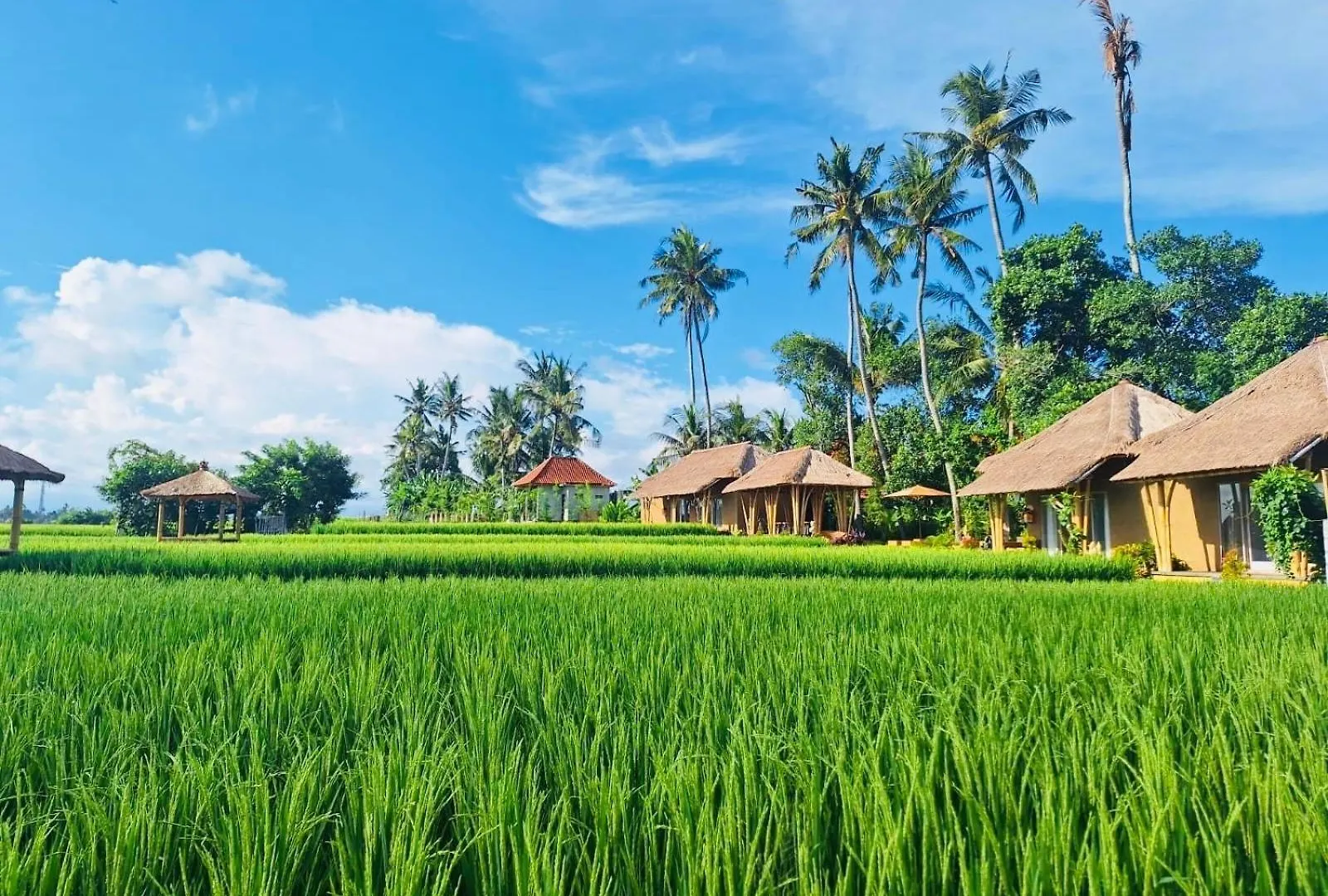 Rumah Kita Ecolodge Ubud 0*,  Indonesia